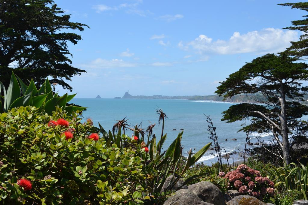 Ahu Ahu Beach Villas Oakura Rum bild